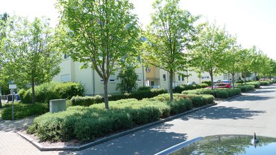 Ahornring 2