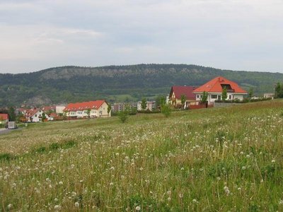 Am Rehberg
