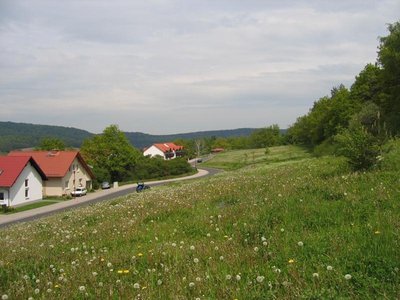 Am Rehberg