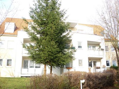 Ahornring 2