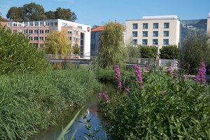 Erfurt-Brühl 2022