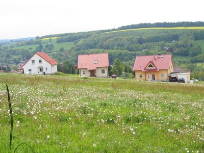 Am Rehberg