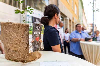 Kleiner Topf mit Setzling im Vordergrund und Menschen im Hintergrund