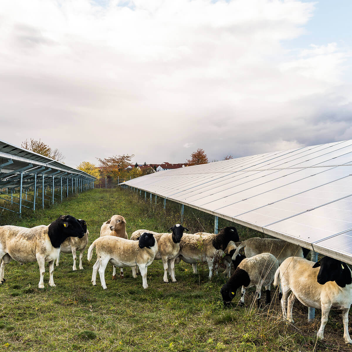 Effizienz steigern, Energiekosten sparen