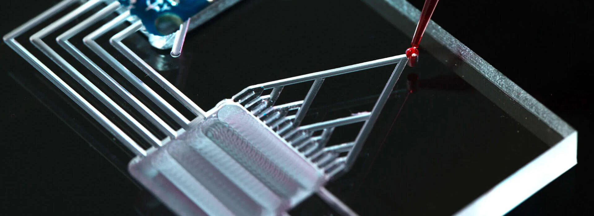 Microfluidics Bildbeschreibung / description: Glasplatte mit Gravuren in Form eines Baumdiagramms, eine rote Flüssigkeit wird auf den Startpunkt des Diagramms gegeben