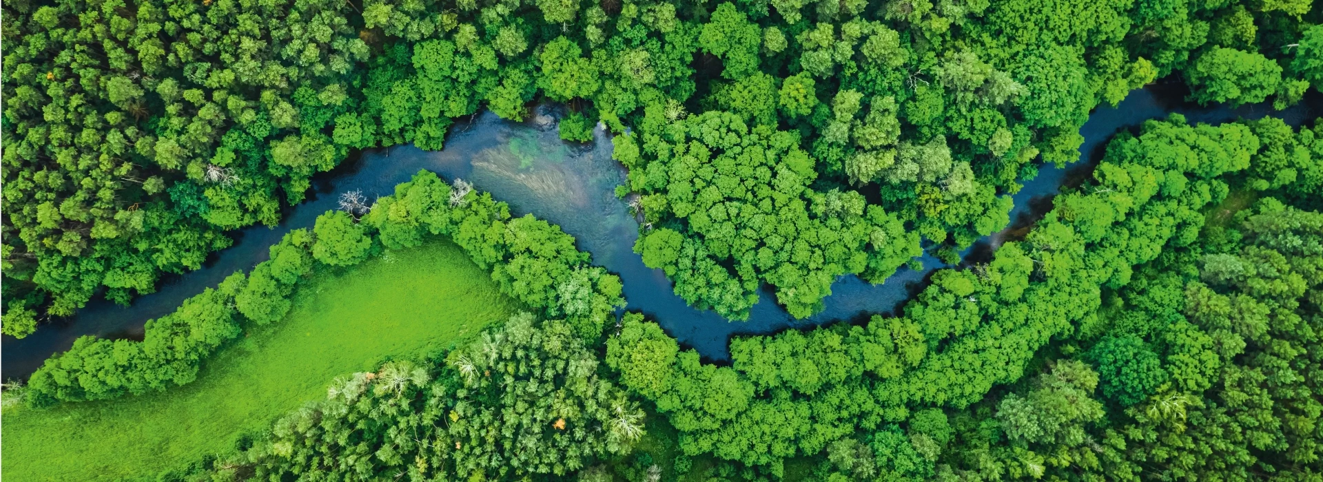 Bildbeschreibung / description: Luftbild eines mäandernden Flusses im Wald