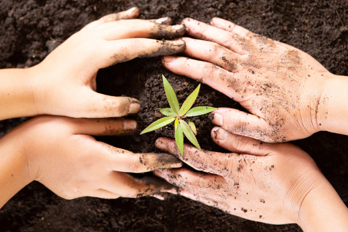 Baumpflanzaktion der LEG Sommerschule