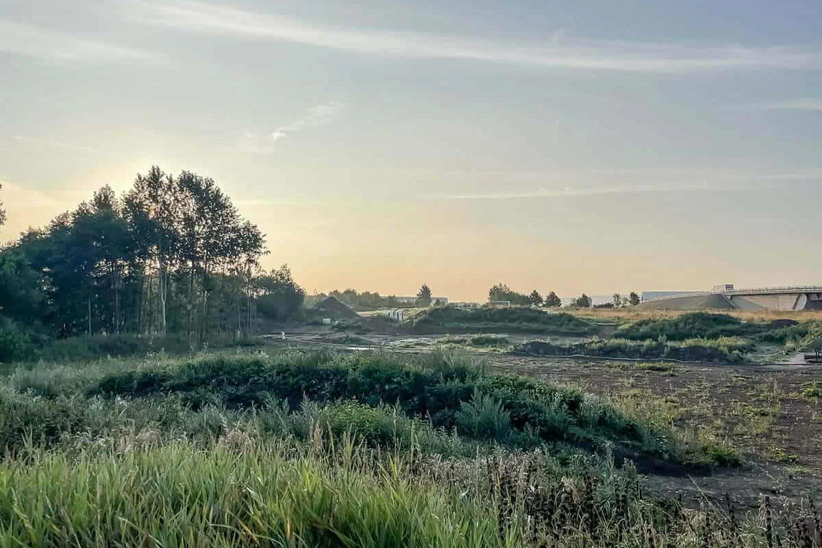 News: Grün trifft Zukunft: Landesgartenschau 2026 in Leinefelde-Worbis