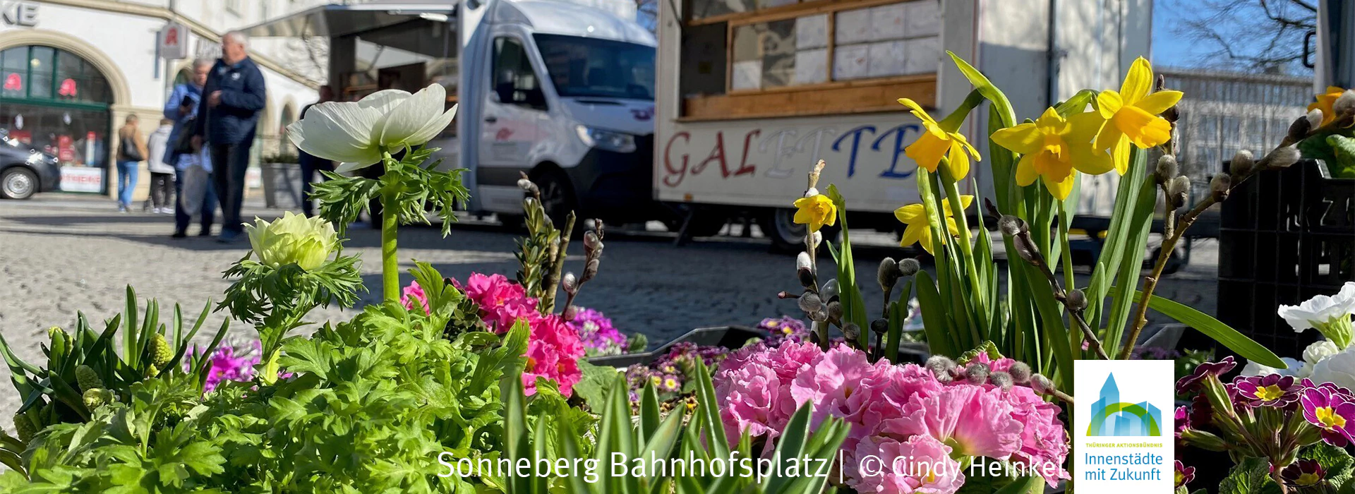 Bildbeschreibung / description: